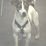 Profile picture for snoopysdad