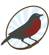 Profile picture for Robin Denburg