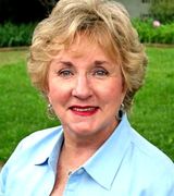 Profile picture for Sandy Perkins