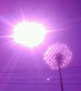 Profile picture for user7018334