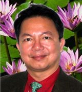 Profile picture for Dr Hanh Vo