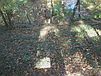330 Lenappe Dr