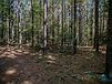 548 Quentin Rd SE