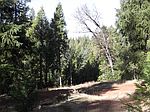 19151 Creek Dr, Pioneer, CA