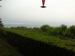 6769 Shearwater Ln, Malibu, CA