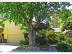 755 Stone Ln, Palo Alto, CA