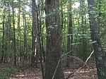 815 Brents Rd, Potts Camp, MS