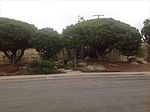 214 Geneive Cir, Camarillo, CA