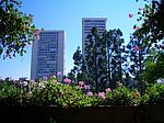 2451 Century Hl, Los Angeles, CA