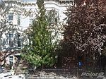 (undisclosed Address), New York City, NY