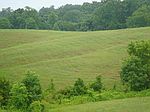 Willis Crk, Albany, KY