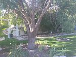 3950 Mack Rd SPC 119, Sacramento, CA