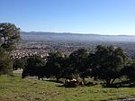 8950 Mimosa Ct, Gilroy, CA
