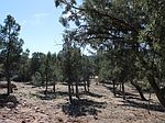 1707 W Bonita St, Payson, AZ