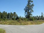10 Boxcall Trl, Brunswick, GA