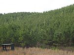 Lodge Rd, Amity, AR