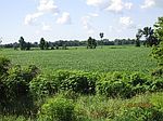265TH Ave & Hwy # 2, Centerville, IA