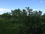 Green Lake Township, Kandiyohi, MN