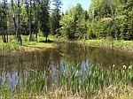 Poplar Ln, Mount Desert, ME