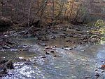 153 Ac Puncheon Crk, Alred, TN