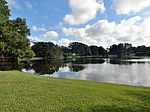 11708 Lipsey Rd, Tampa, FL