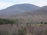 2A Sunnyside Ln, Afton, VA