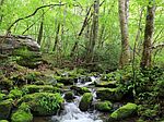 (undisclosed Address), Robbinsville, NC