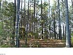 3 Pine Needles Dr, Providence Forge, VA