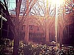 415 W 39th St, Austin, TX