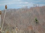 0 E Cumberland Rd At Rte # 460, Bluefield, WV
