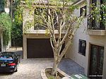 N Beverly Dr, Beverly Hills, CA