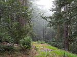 1402 Native Sons Rd, Woodside, CA