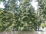 1420 153rd Ave NEAPT 3806, Bellevue, WA