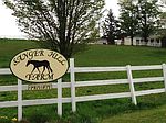 990 Mccabe Rd, Waterville, NY