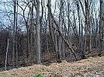 Champion School Rd, WV