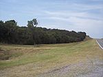 E/2 SE Of Section # 18-9-10, Wetumka, OK
