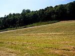 & 2 Rabbit Trl LOT 1, Lynnville, TN