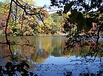 100 Lake Cove Ln, Felton, DE