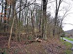 0 Mgnolia, Gate City, VA