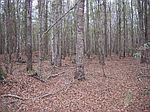 (undisclosed Address), Hazlehurst, GA