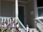 2325 Grant St, Berkeley, CA