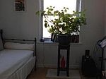 464 Hanover St, Boston, MA