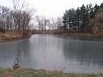 3000 N 1050 E, Alexis, IL