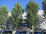 4744 41st Ave SW, Seattle, WA