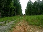 Craig Mill Rd, South Hill, VA