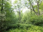 Tbd Regency Ln, Blowing Rock, NC