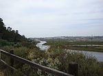 Racetrack View Dr # 768, Del Mar, CA