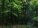 9690 Creawood Frst, Waite Hill, OH