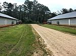 1048 William Warren Rd, Collins, MS