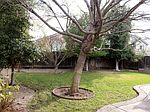 914 Blossom Dr, Brentwood, CA